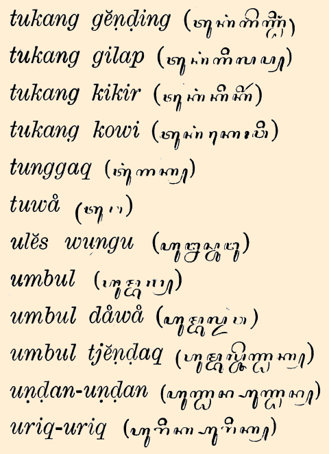 Lijst van Javaansche termen t t/m u